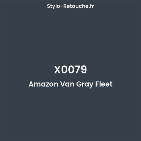 x0079 paint code