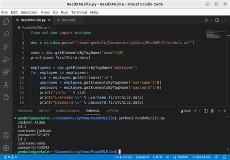 xml format example python