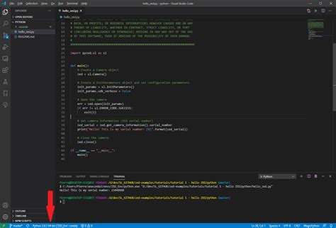 zed editor run python code
