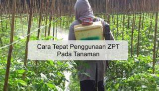 ZPT alami